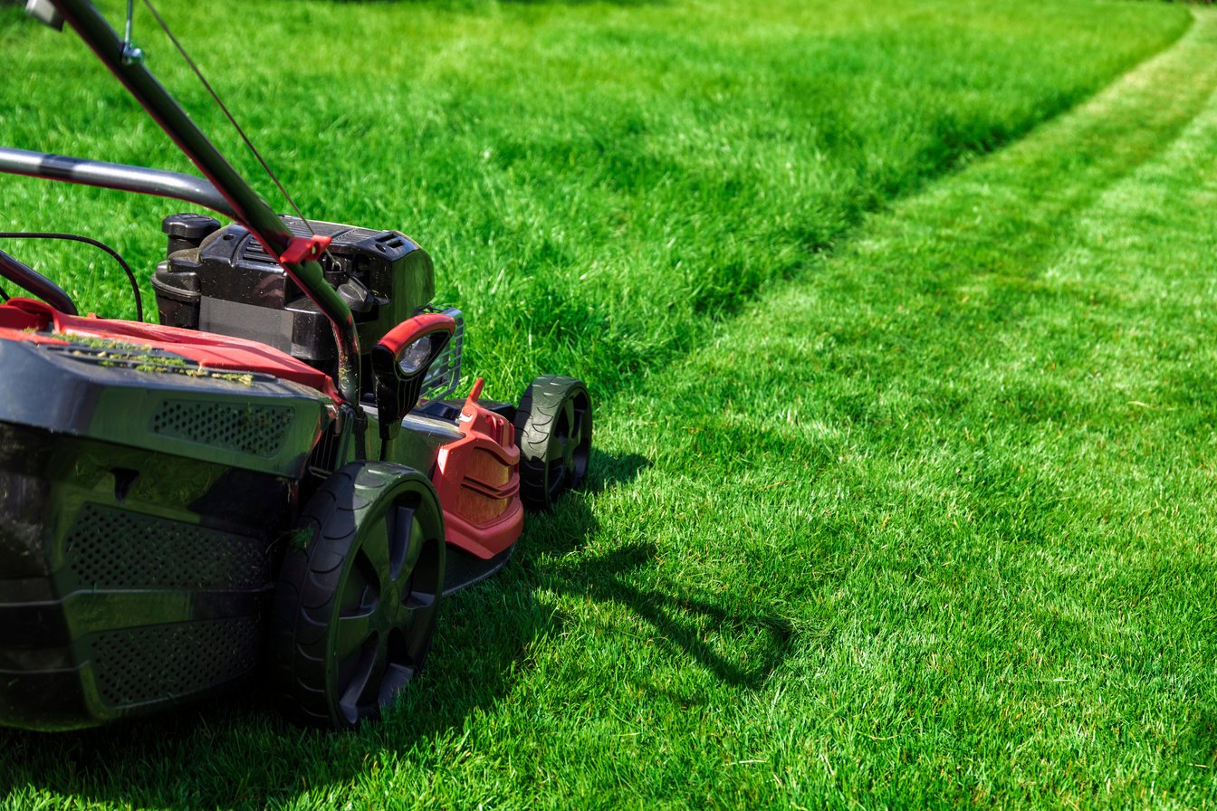 Mowing lawn